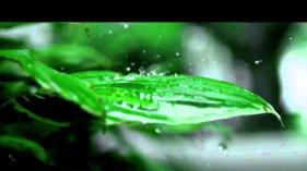 Zakkum - Gökyüzünde