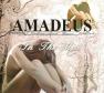 Amadeus Photo