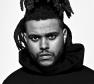 The Weeknd Photo