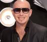 Pitbull Photo