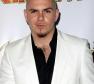 Pitbull Photo