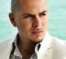 Pitbull Photo