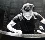 Tiësto Photo