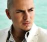 Pitbull Photo