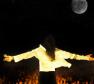 Michael Jackson Photo