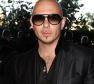 Pitbull Photo