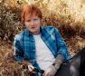 Ed Sheeran Photo