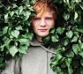 Ed Sheeran Photo
