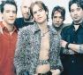 Buckcherry Photo