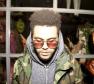The Weeknd Photo