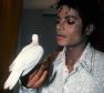 Michael Jackson Photo