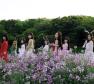 Oh My Girl Photo