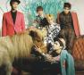 SHINee Photo