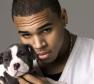 Chris Brown Photo