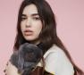 Dua Lipa Photo