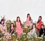 Oh My Girl Photo