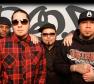P.O.D. Photo