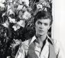 David Bowie Photo