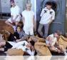 TEEN TOP Photo
