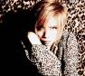 Acid Black Cherry Photo