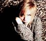 Acid Black Cherry Photo