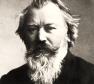 Johannes Brahms Photo