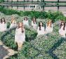 Lovelyz Photo