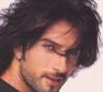 Tarkan Photo
