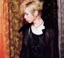 Acid Black Cherry Photo
