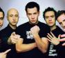 Simple Plan Photo
