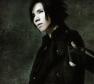Acid Black Cherry Photo