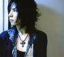 Acid Black Cherry Photo