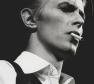 David Bowie Photo