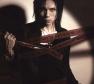 Acid Black Cherry Photo