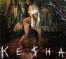Ke$ha Photo