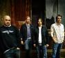 Staind Photo