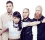 Little Dragon Photo