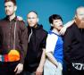 Little Dragon Photo