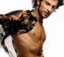 Tarkan Photo