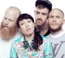 Little Dragon Photo