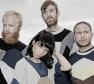 Little Dragon Photo