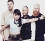 Little Dragon Photo