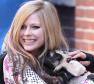 Avril Lavigne Photo