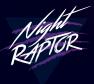 Night Raptor Photo