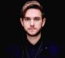 Zedd Photo