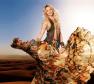 Shakira Photo