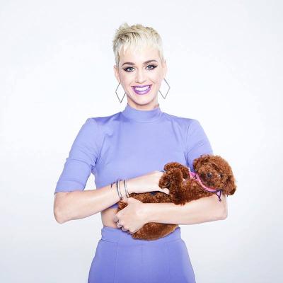 Katy Perry Photo