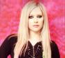 Avril Lavigne Photo